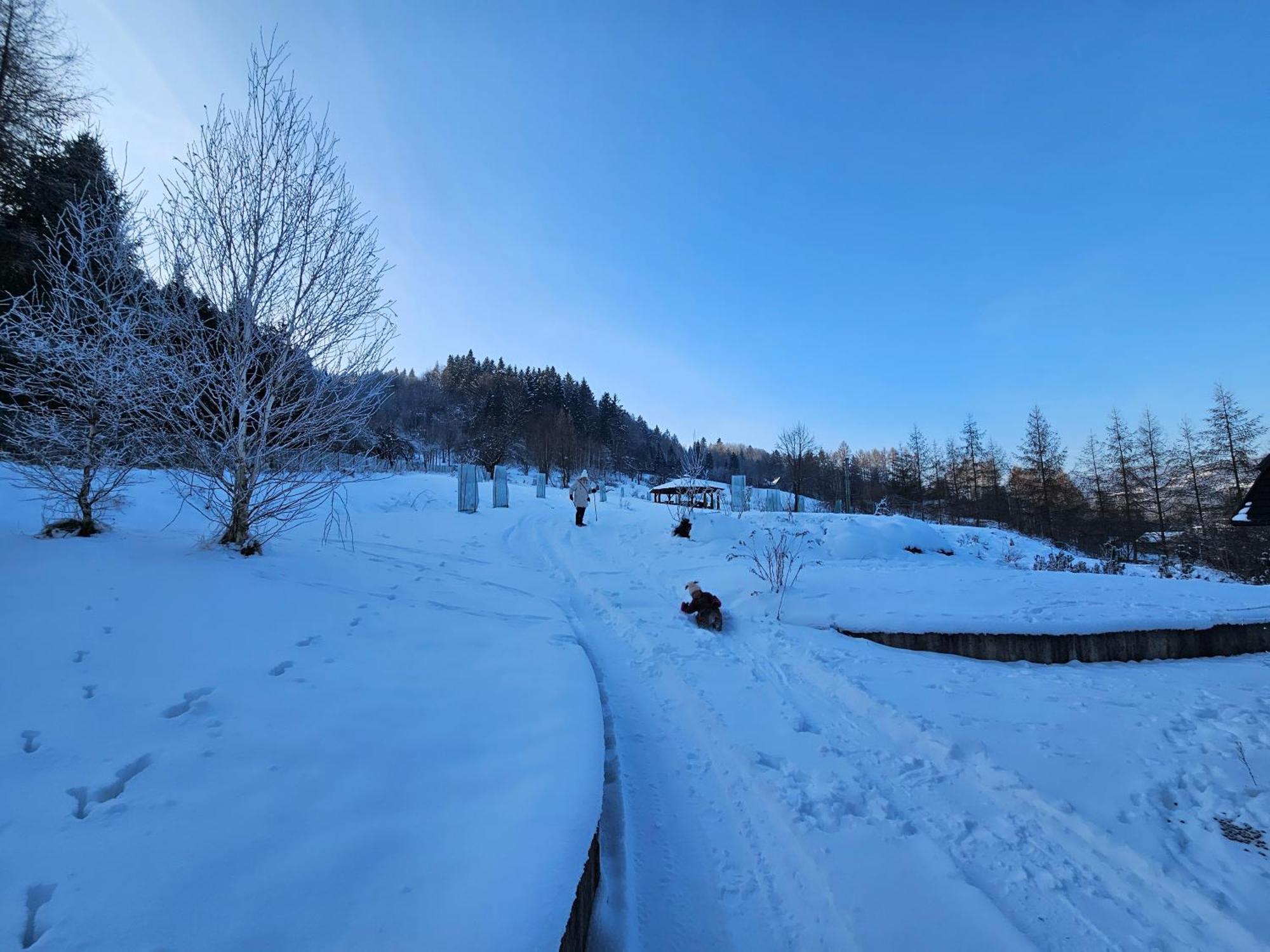 Bed and Breakfast Otulina Park Szczawnica Zewnętrze zdjęcie