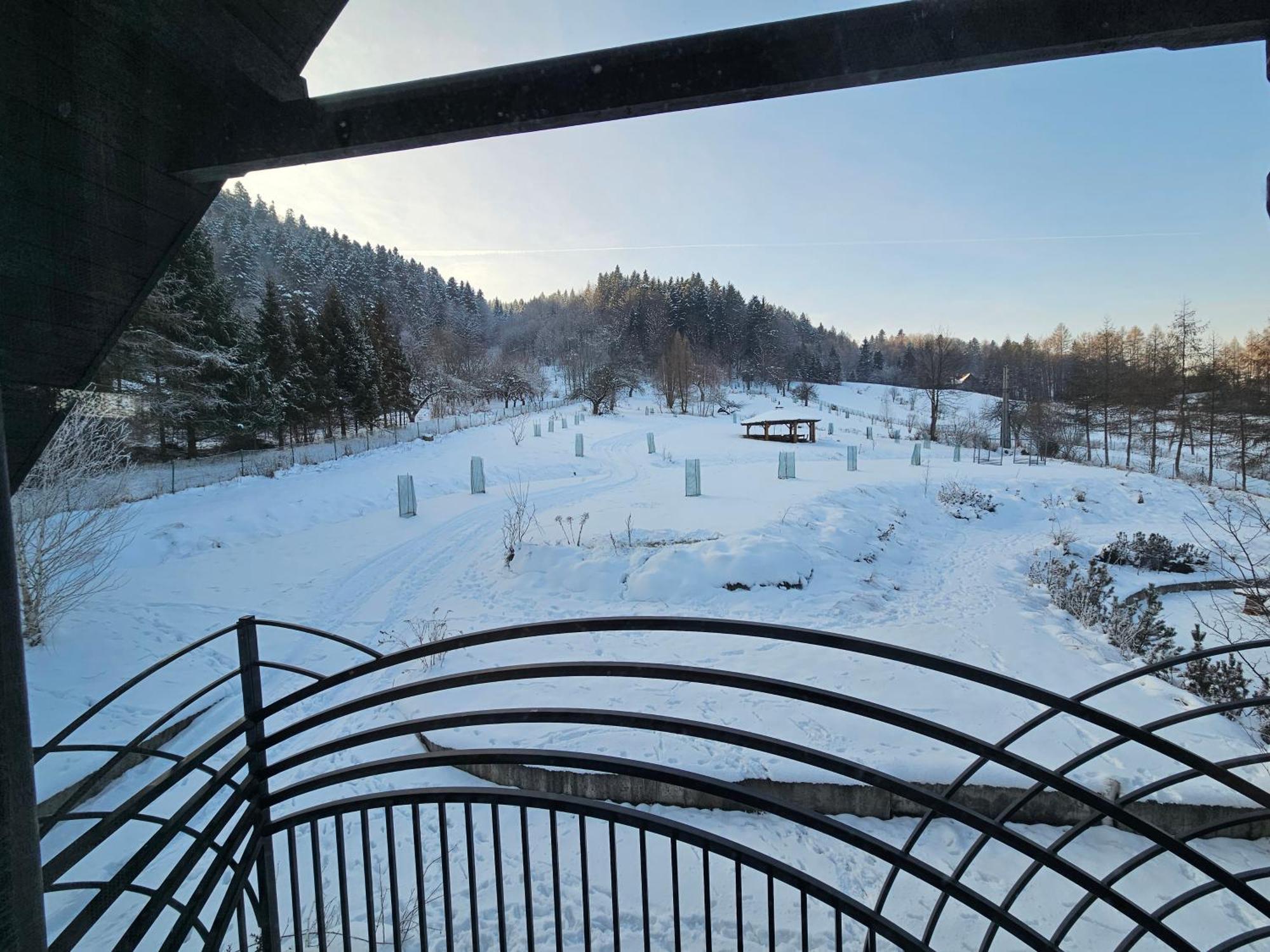 Bed and Breakfast Otulina Park Szczawnica Zewnętrze zdjęcie