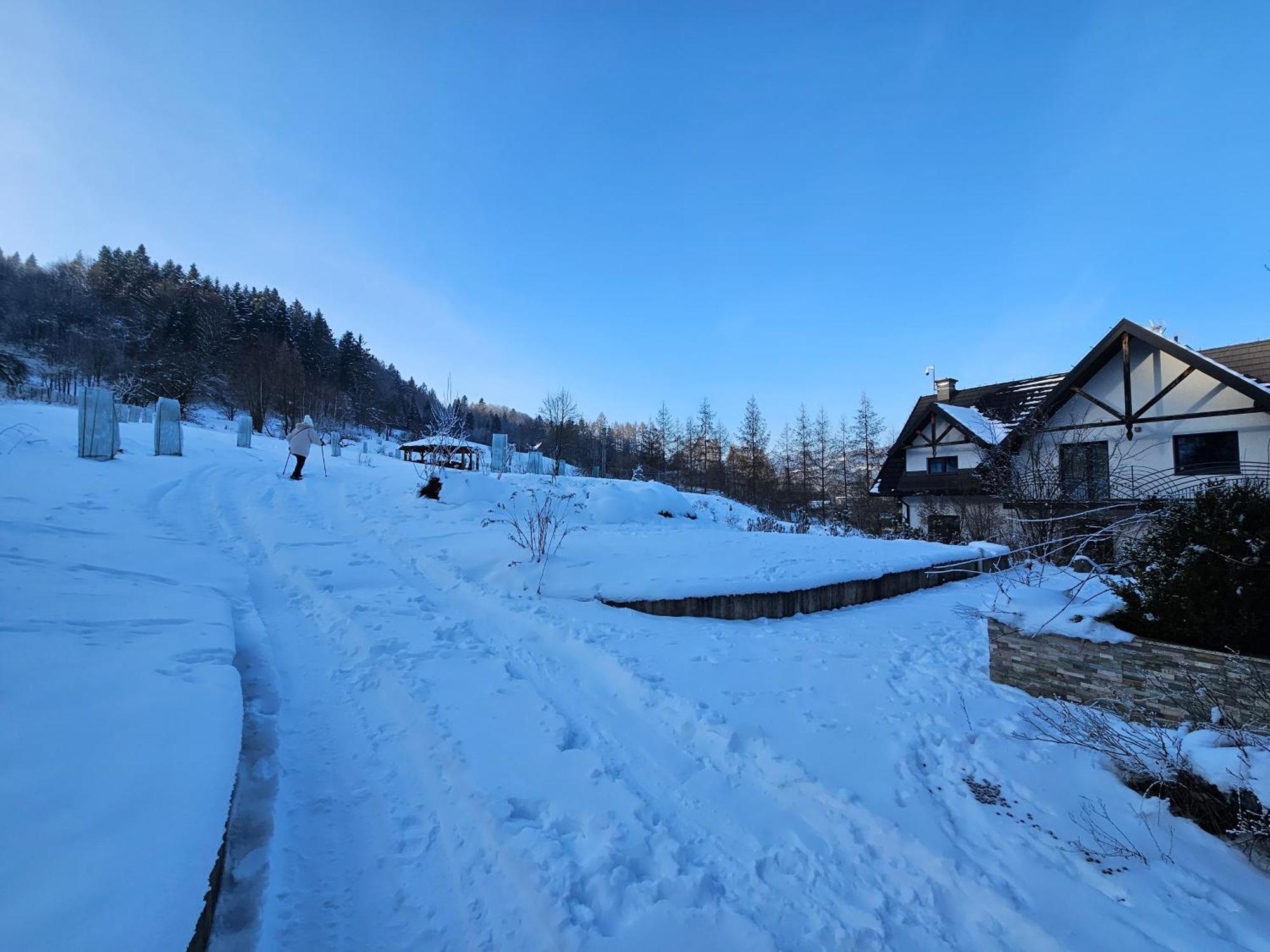 Bed and Breakfast Otulina Park Szczawnica Zewnętrze zdjęcie