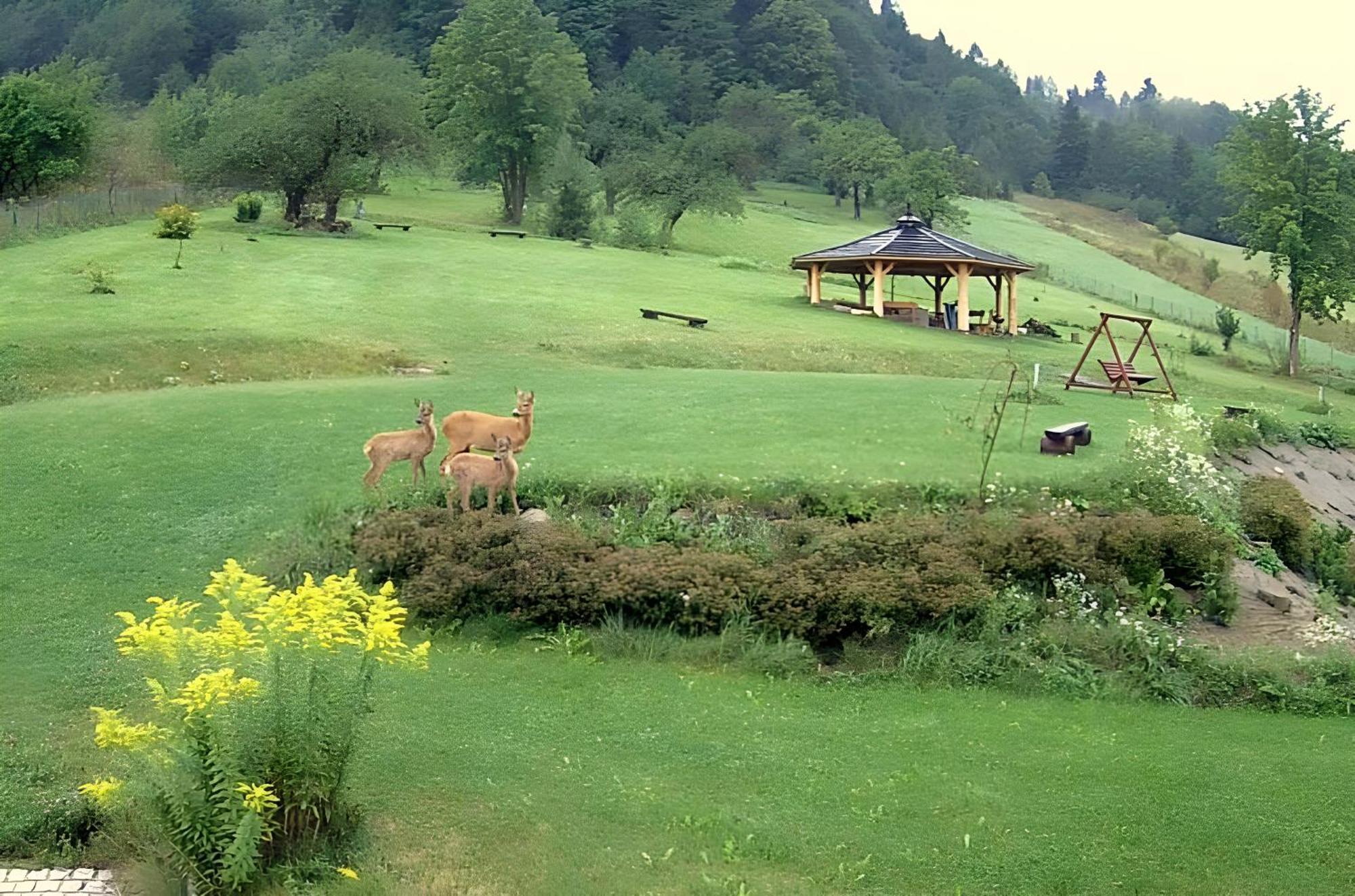 Bed and Breakfast Otulina Park Szczawnica Zewnętrze zdjęcie