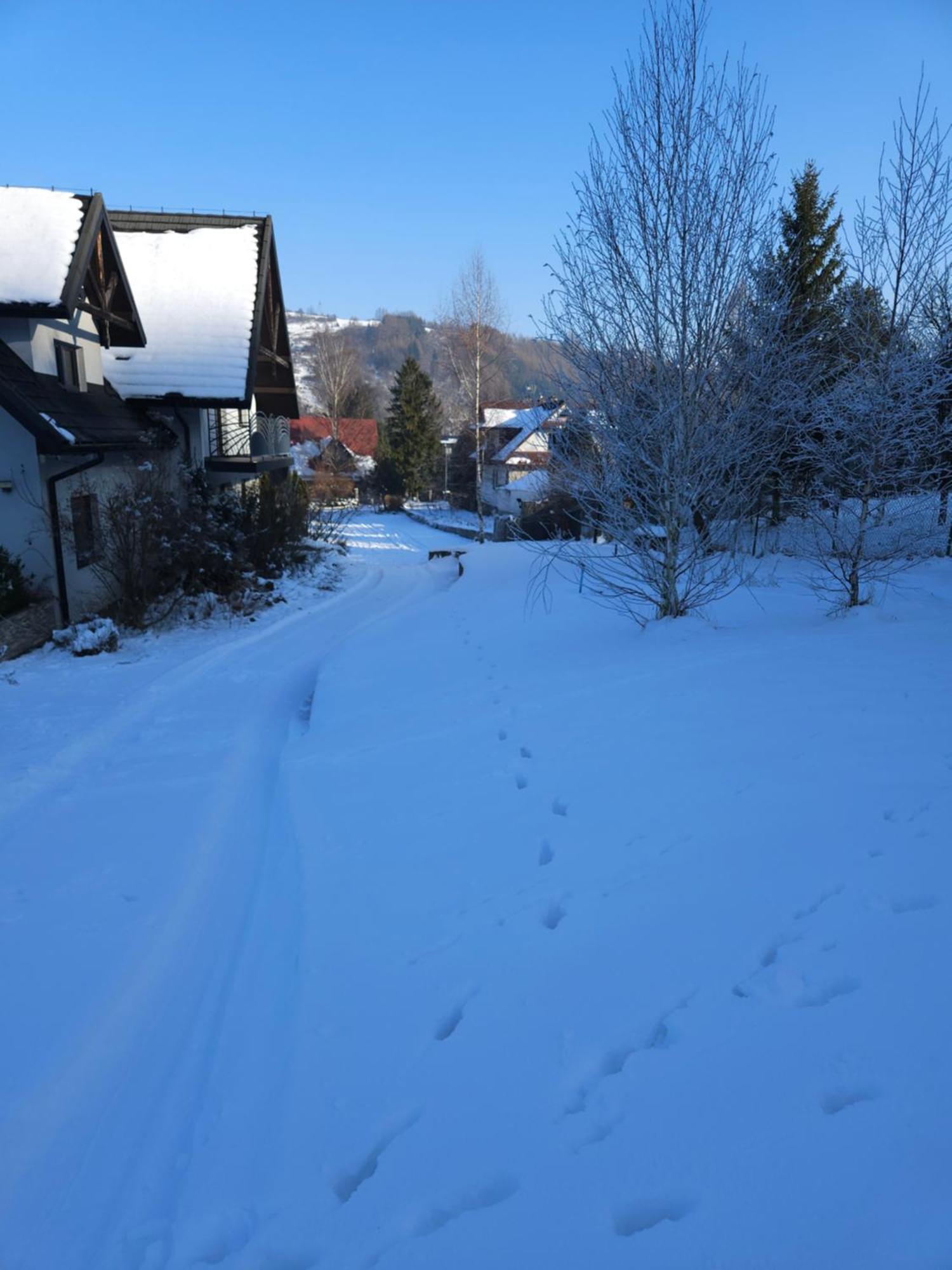 Bed and Breakfast Otulina Park Szczawnica Zewnętrze zdjęcie