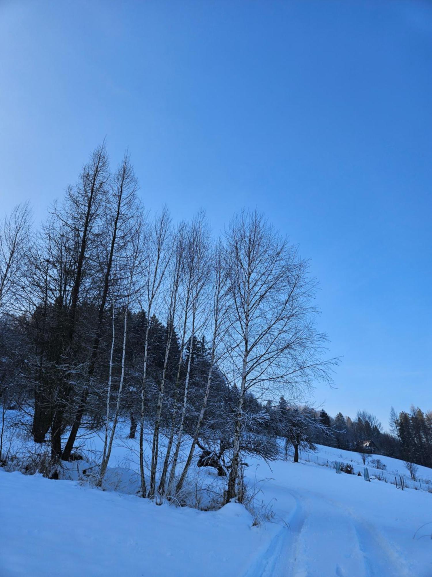 Bed and Breakfast Otulina Park Szczawnica Zewnętrze zdjęcie